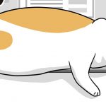 猫とパソコンと私