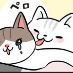 猫ってやさしい