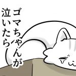 猫だって落ち込む2