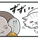 猫だって愛したい