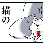 猫の引越し