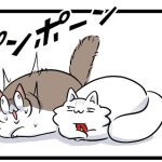 我が家のビビリ