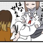 ゴマちゃんの足毛を切ったら