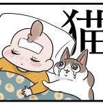 忘れる猫