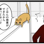 尽くすスパダリ猫