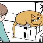 扶養する猫