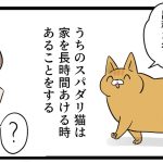 スパダリな猫
