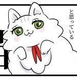 世界一かわいいと思っている猫