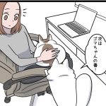 行列のできる膝