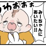 みーちゃんと離れたくないおにぎり