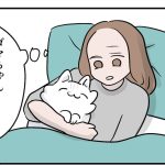 暑さに負けない猫