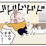 頭を怪我した話