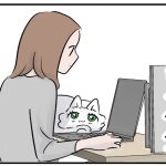 仕事中に触ってはいけない猫