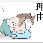 遅刻する理由